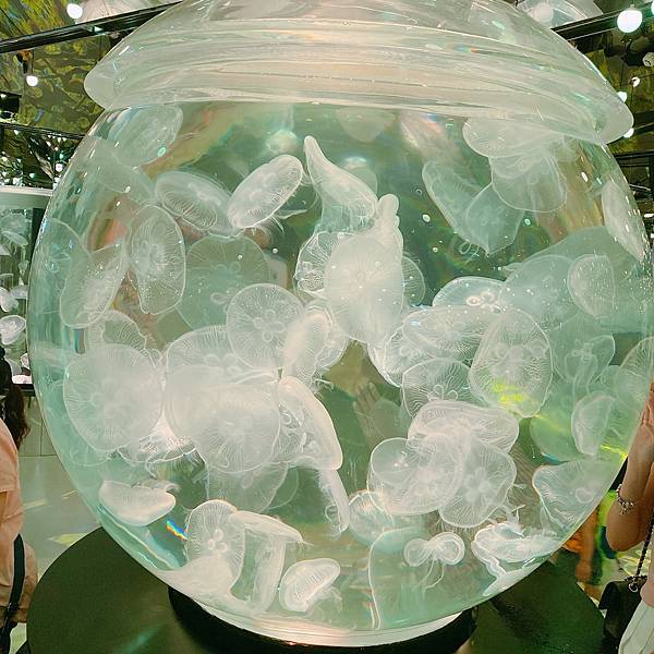 202087_200807_99 202087_200807_99