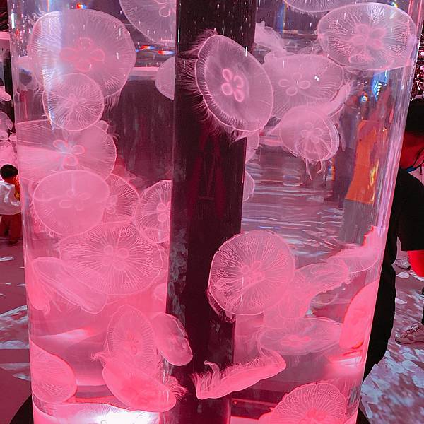 202087_200807_95 202087_200807_95