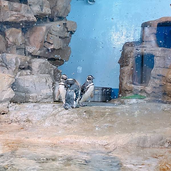 202087_200807_109 202087_200807_109