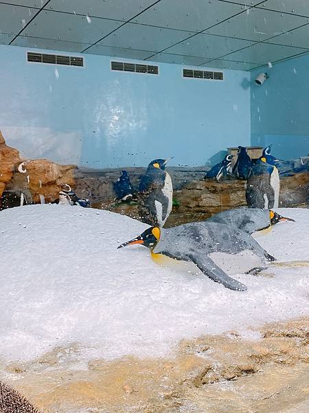 202087_200807_110 202087_200807_110