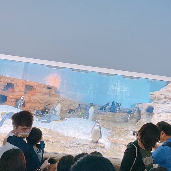 202087_200807_113 202087_200807_113