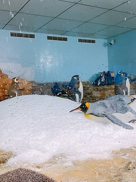 202087_200807_111 202087_200807_111