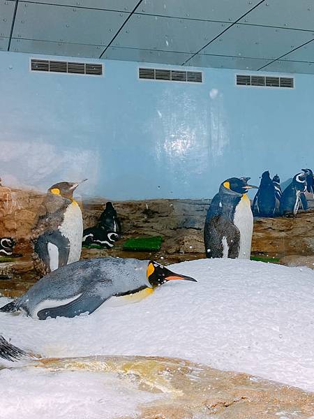 202087_200807_112 202087_200807_112