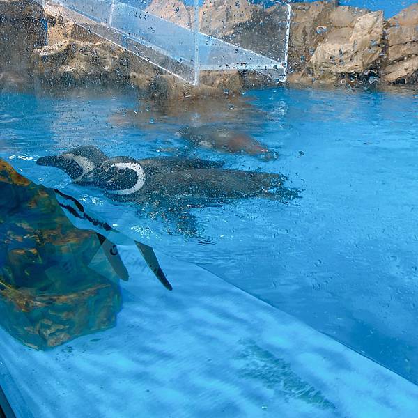 202087_200807_114 202087_200807_114