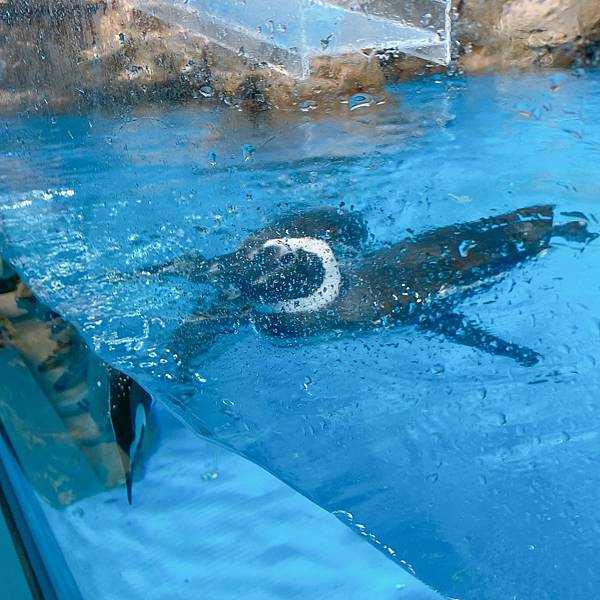 202087_200807_115 202087_200807_115