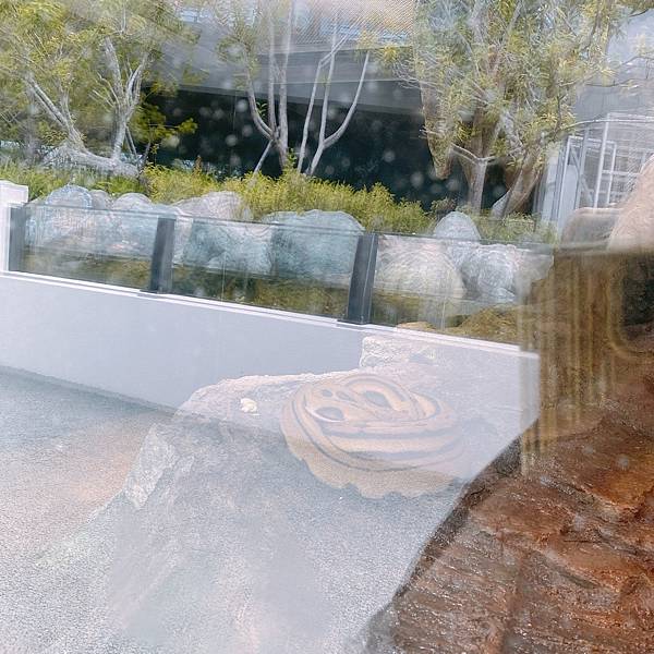 202087_200807_128 202087_200807_128