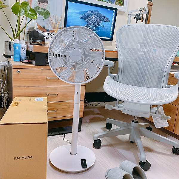 值得買嗎?自己花錢買的完整開箱有夠貴的BALMUDA百慕達The GreenFan