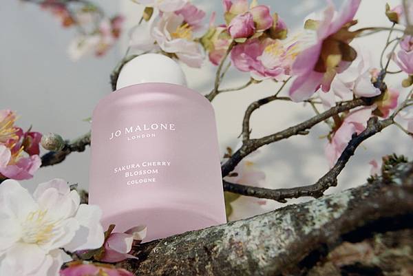 jomalone-sakuracherry-002