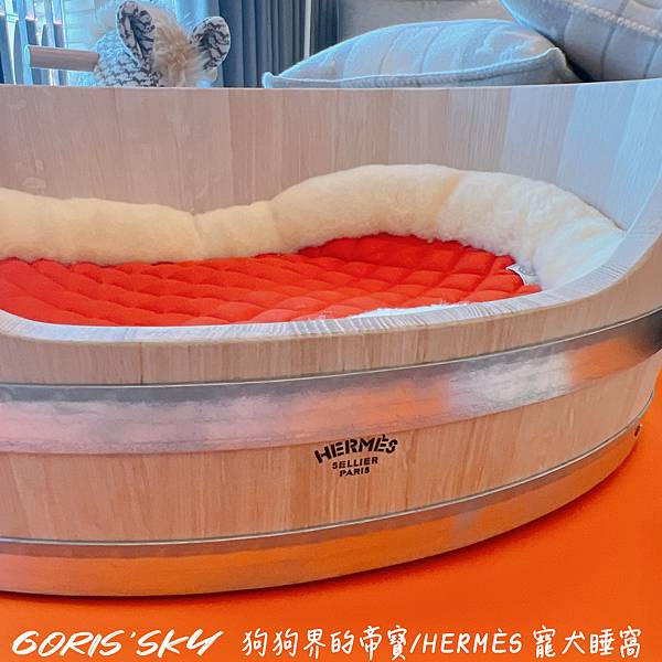 狗狗界的帝寶!!!!HERMES寵犬睡窩(有手把的大橘盒可以 狗狗界的帝寶!!!!HERMES寵犬睡窩(有手把的大橘盒可以