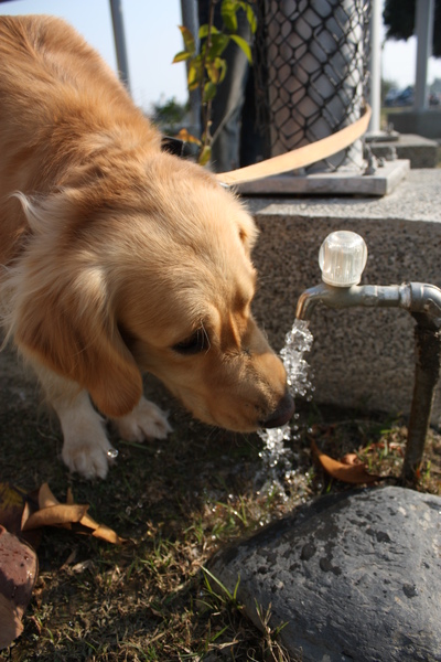 水水水水...好渴好渴.JPG