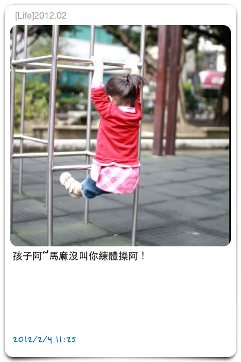 IMG_2232 IMG_2232
