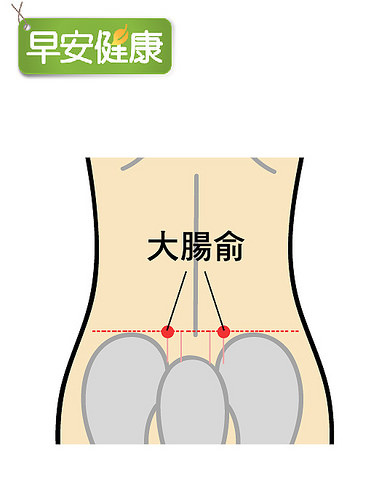 大腸俞.jpg