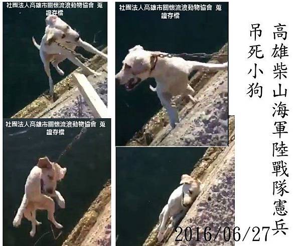 憲兵吊死狗.jpg 憲兵吊死狗.jpg