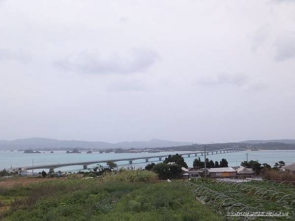 okinawa128.JPG