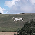 white horse