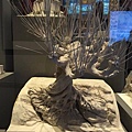 模型 (2).JPG