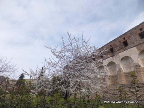 pompei (1).JPG