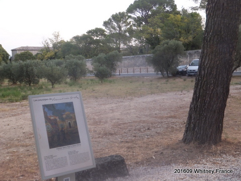 DSCF6782.JPG