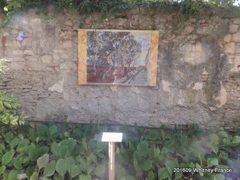 DSCF6805.JPG