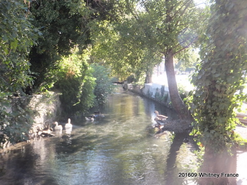 DSCF7181.JPG