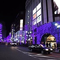 Tokyo  (40).jpg