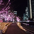 Tokyo  (52).jpg