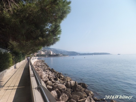 DSCF7743.JPG