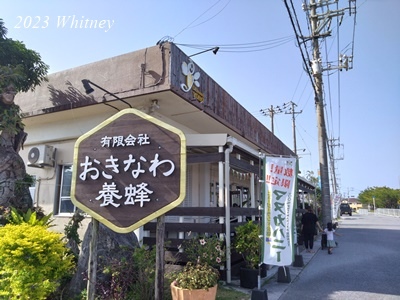 おきなわ養蜂 (2).JPG