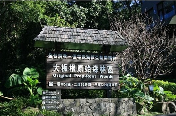 三峽大板根森林溫泉渡假村-2