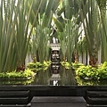 banana courtyard, view 1