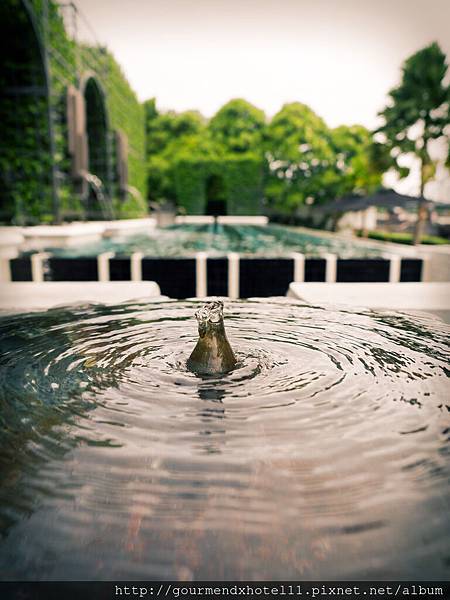 micro waterscape 