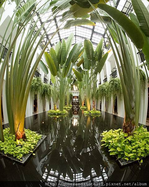 banana courtyard 