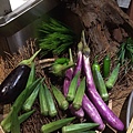 Eggplants, okra, local produces 