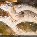 parrotfishes 