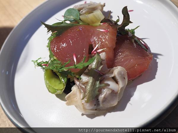 醬油漬長鰭鮪魚 醬油漬長鰭鮪魚