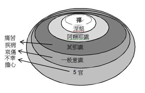 所有的煩惱都來自於大腦受到感官的和莫那識的驅使