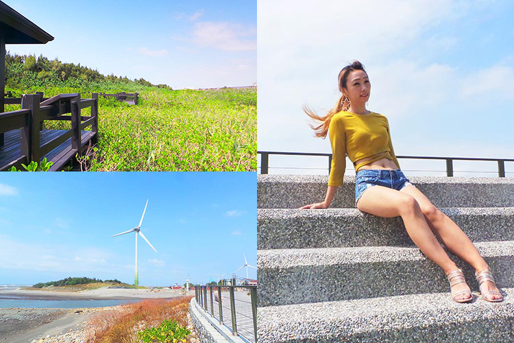 大安紅樹林生態區,台中大安,紅樹林,水筆仔,木棧道,濱海生態,自行車道,台中,大安,生態區,溫寮溪橋,生態,潮間帶,景點,海景,步道