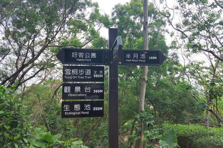 好客公園 浪漫五月雪 油桐花正盛開 苗栗銅鑼景點 跟著小真旅遊去 痞客邦
