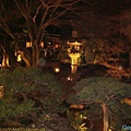餐廳外的池庭園夜景.jpg