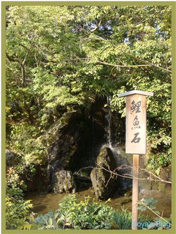 金格寺鯉魚石