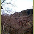 櫻花樹環繞的清水寺