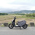 gozilla-狗吉拉-gogoro-s2-cafe-racer-delight-平面鋁合金踏板-車牌框-手機架-補助-價格-78.jpg