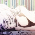貓