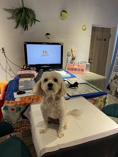 2025__0105【新北板橋】薇伊愛寵健康館_寵物AI健康