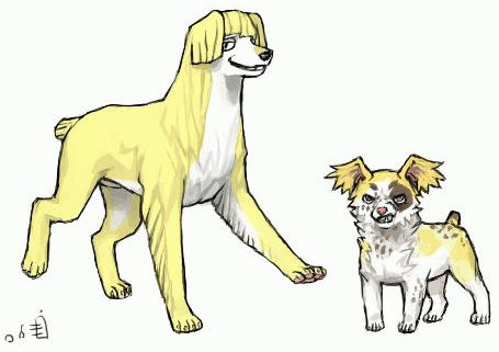 死神 犬類 平子 日世里 珀熊的相簿 痞客邦