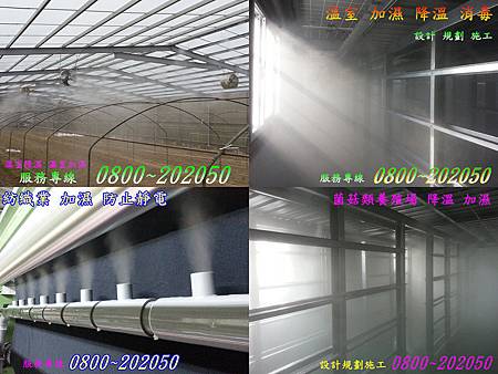溫室植栽降溫 溫室植栽降溫