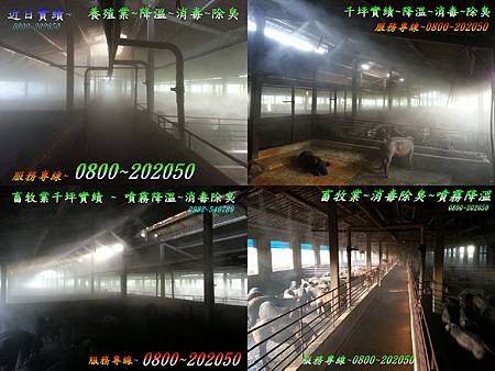 養殖場降溫消毒 養殖場降溫消毒