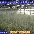 台南溫室植栽降溫
