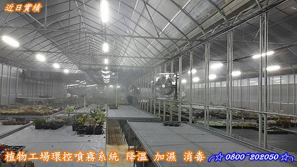 植物工廠噴霧降溫