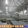 植物工廠噴霧降溫